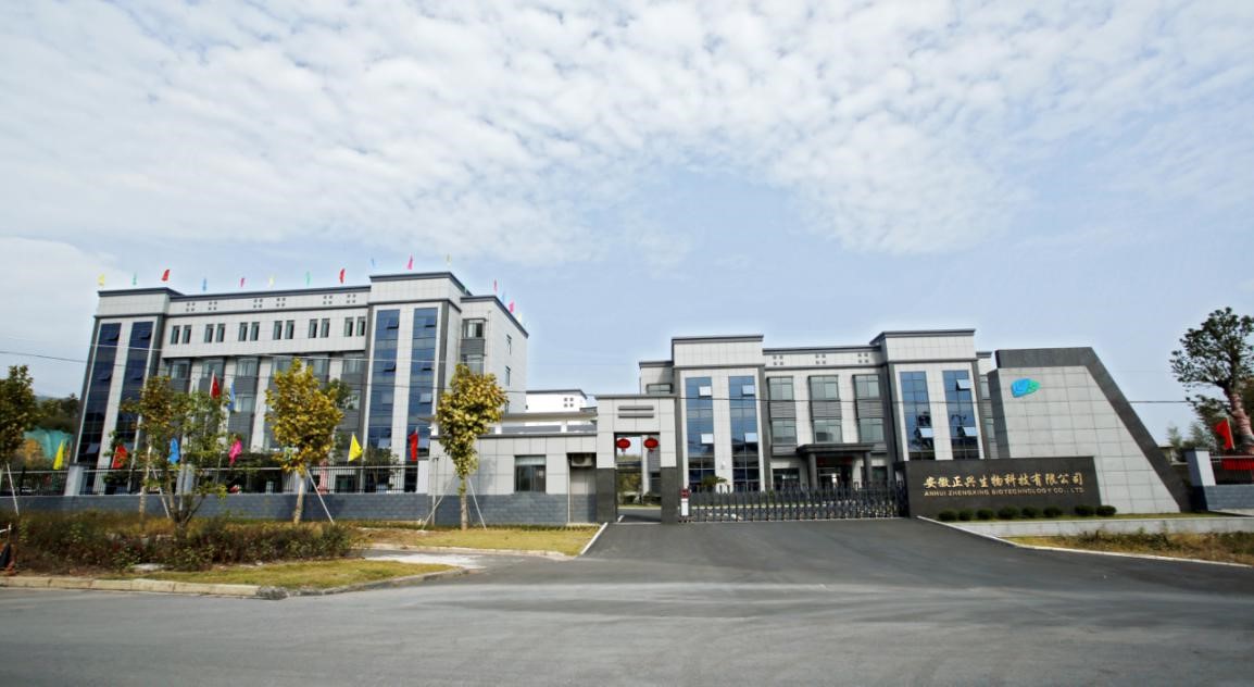 20190301.jpg 20190301.jpg