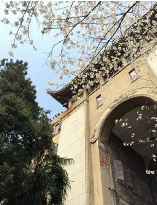 2020年3月13日，武漢站 居家云辦公，服務(wù)不打烊.png