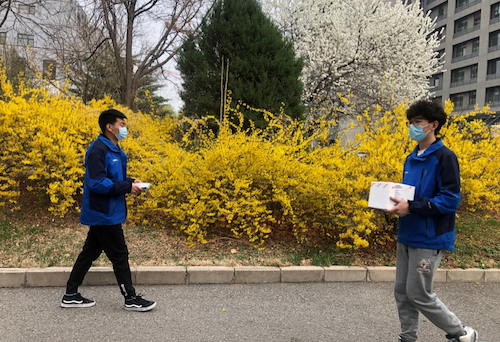 較往日靜謐的中科院北郊園區(qū),怒放的迎春花注視著奔波于各研究所“無(wú)接觸配送”的“喀斯瑪藍(lán)” .png 較往日靜謐的中科院北郊園區(qū),怒放的迎春花注視著奔波于各研究所“無(wú)接觸配送”的“喀斯瑪藍(lán)” .png